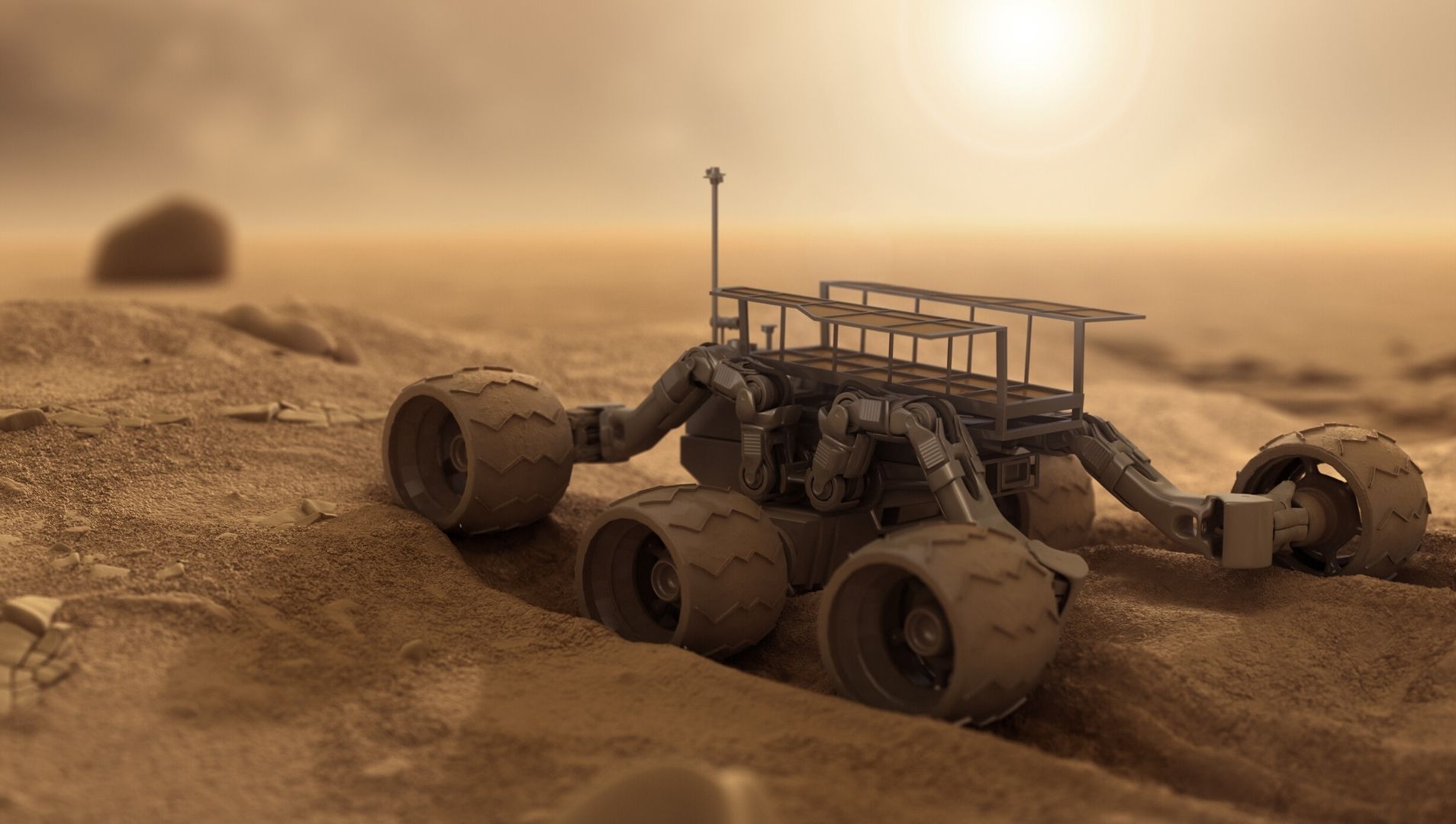 Image of a robot rover searching for objects